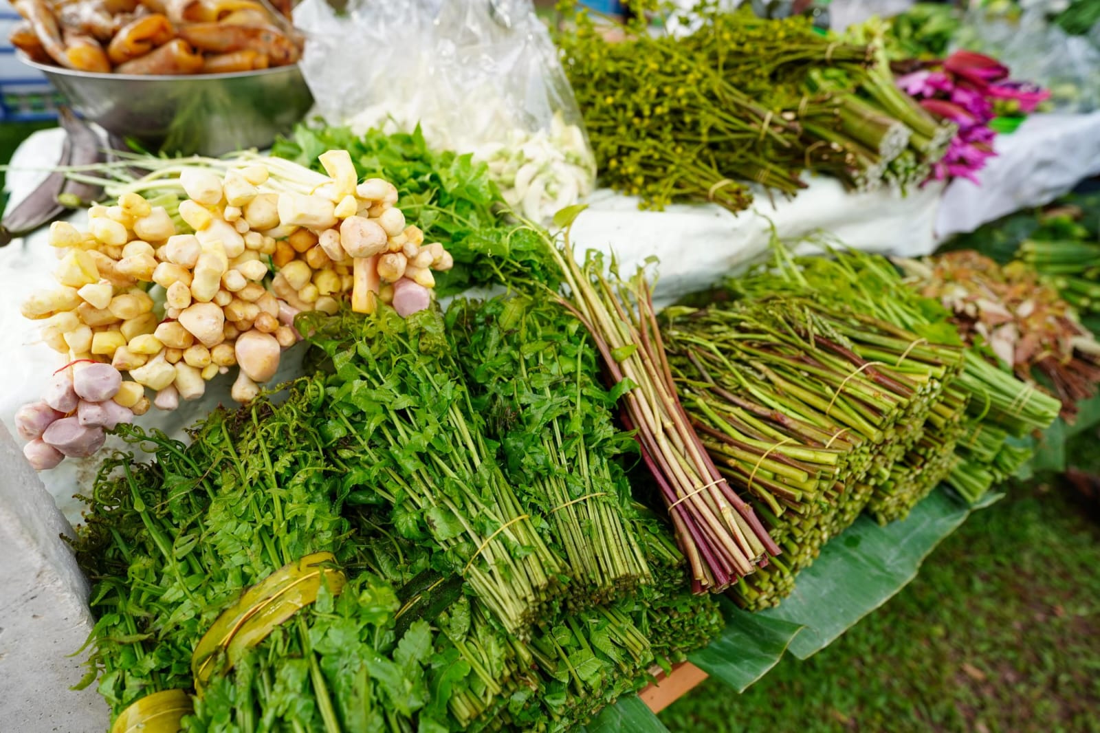 Fresh tropical produce Thailand