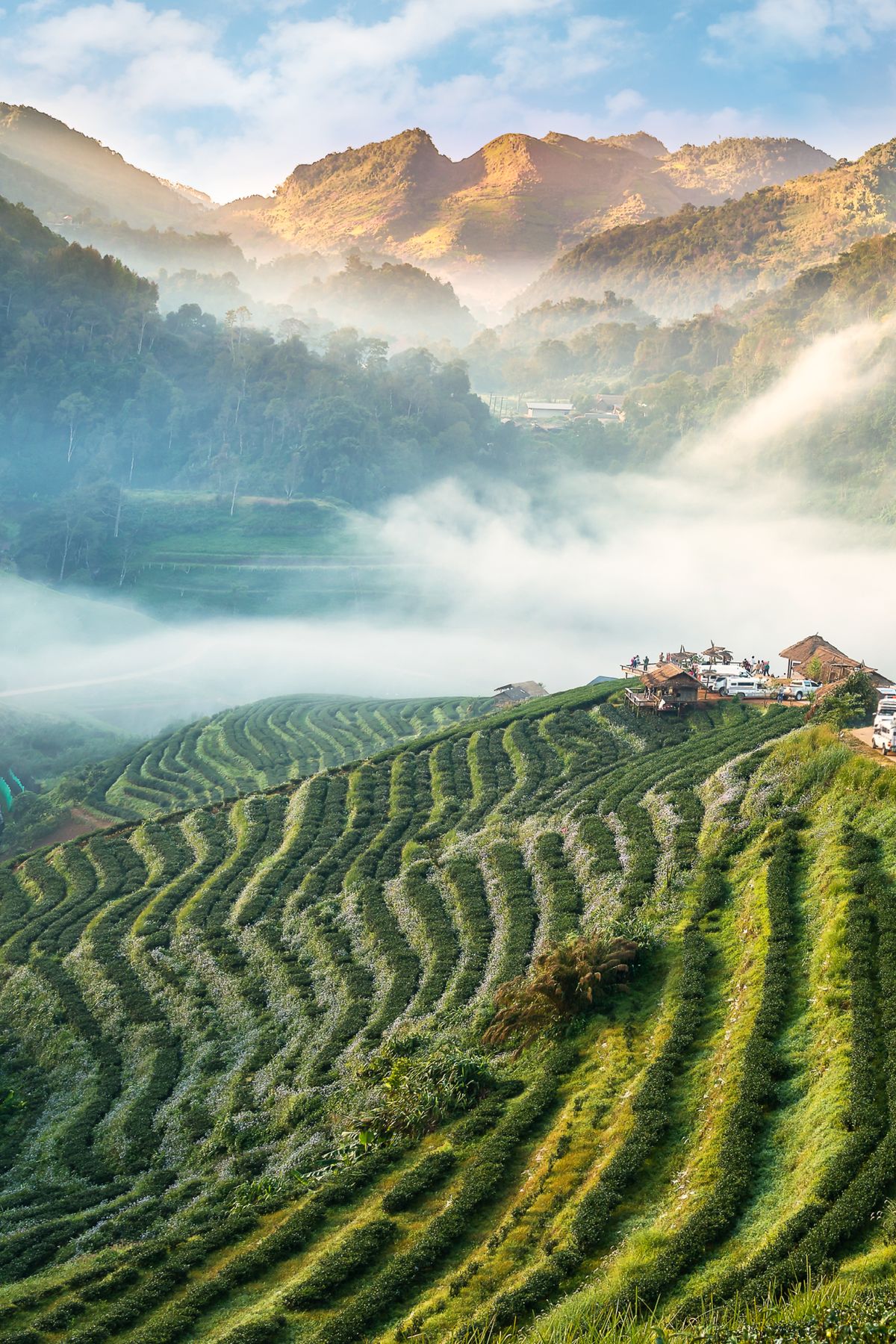 Beautiful nature Thailand