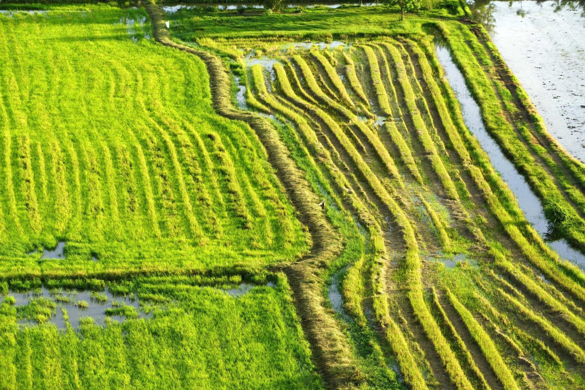 Thailand tropical weather