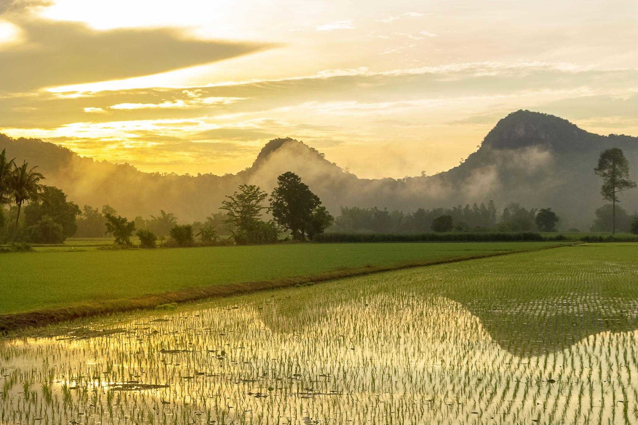 Thailand tropical weather